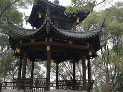 -金鸡山公园