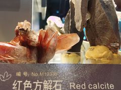 -中国地质博物馆