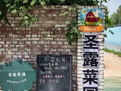 -圣露庄园·露营·烤肉·亲子