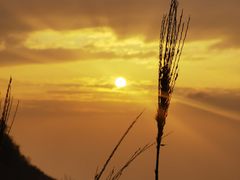 -萍乡武功山风景名胜区