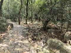 -虞山风景区