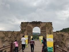 -世界恐龙谷景区