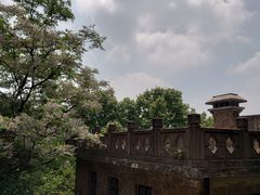 -紫金山天文台