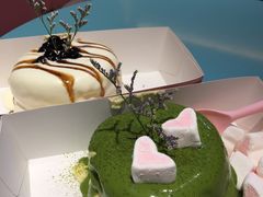 -狐狸和向日葵(北京路店)