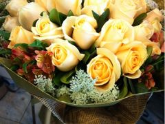 -静岸花卉园艺(三星坊店)