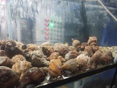 -钟菜·粤菜点心·宴请(海上世界·汇港二期店)