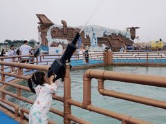 -秦皇岛乐岛海洋王国