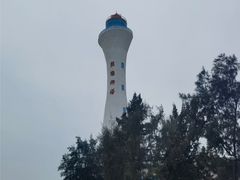 -北海金海湾红树林生态旅游区