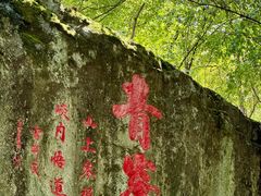 -青峰峡国家森林公园