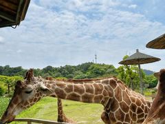 -宁波野生动物园