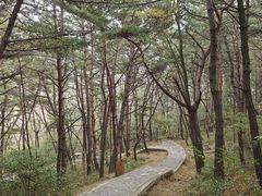 -金龙寺国家森林公园