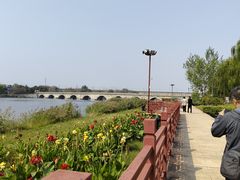 -绿堤公园