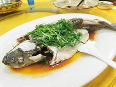 清蒸吊水鲩鱼-成惠食府(赤岗店)