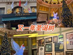 -上海和平饭店 Fairmont Peace Hotel