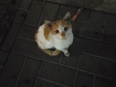 -百谜机械解谜工场