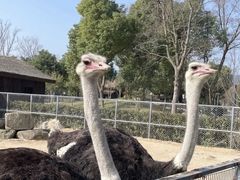 -上方山森林动物世界