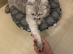 -Oasis绿洲银饰珍珠手作diy(壹方城店)