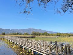 -野鸭湖国家湿地公园