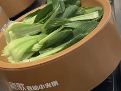 -龍歌自助小火锅(李沧丽达店)