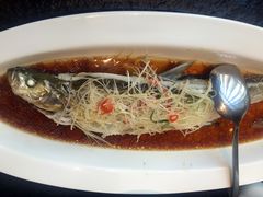 清蒸大白刁-鱼鲜饭香·招牌汽锅剁椒鱼头王