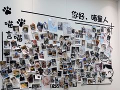 -瑞派·关忠动物医院·猫专科·犬专科(三环新城店)