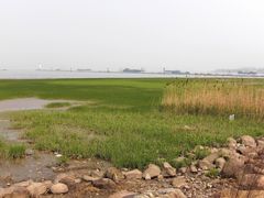 -上海长江河口科技馆