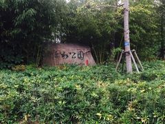 -活水公园