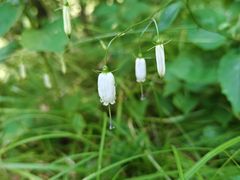 -天燕原始生态旅游区-天门垭景区