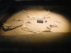 -洛阳周王城天子驾六博物馆