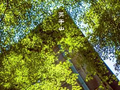 -莫干山风景区