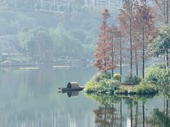 -重庆彩云湖湿地公园