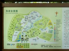 -广东茂名森林公园