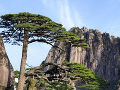 -黄山风景区