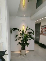 -魔型社烫染店