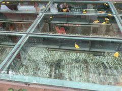 -北京路步行街-千年古道遗址