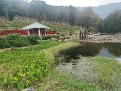 -广州市石门国家森林公园