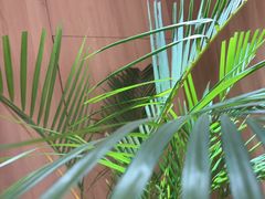 -狼头山火锅 KTV欢唱·烤串(理工大学店)