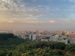 -仙岳公园
