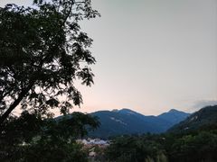 -蘇河湾·新鲁菜·泰山宴(泰山店)
