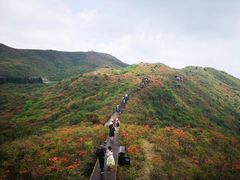 -大围山国家森林公园