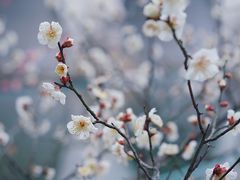 -尚贤河湿地