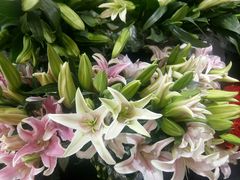 -红袖花坊(大学路店)