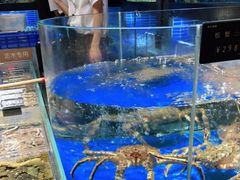 水产区-徐记海鲜·宴会(大唐西市|丰庆店)