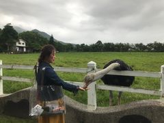 -瑞穗牧场