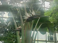 -石家庄市植物园