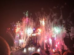 -巴黎迪士尼乐园