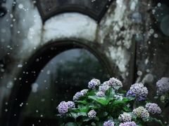 -惠山古镇·寄畅园