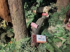 -陕西自然博物馆