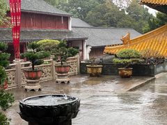 -枣子树·素食餐厅(普陀山店)