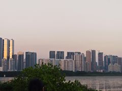 -深圳湾公园(南山区)